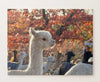 Alpaca Jigsaw Puzzle, Autism Toys For Kids, Adults