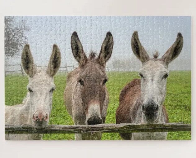 Cute Donkeys In Misty Paddock Animals Nature Jigsaw Puzzle, Autism Toys For Kids, Adults