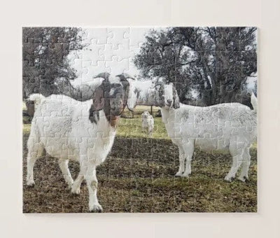 Goats Jigsaw Puzzle, Autism Toys For Kids, Adults