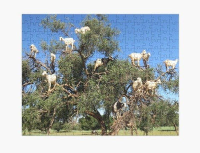 Goats In Trees Jigsaw Puzzle, Autism Toys For Kids, Adults