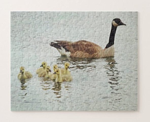 A Mother Goose and Her Baby Goslings Nature Jigsaw Puzzle, Autism Toys For Kids, Adults