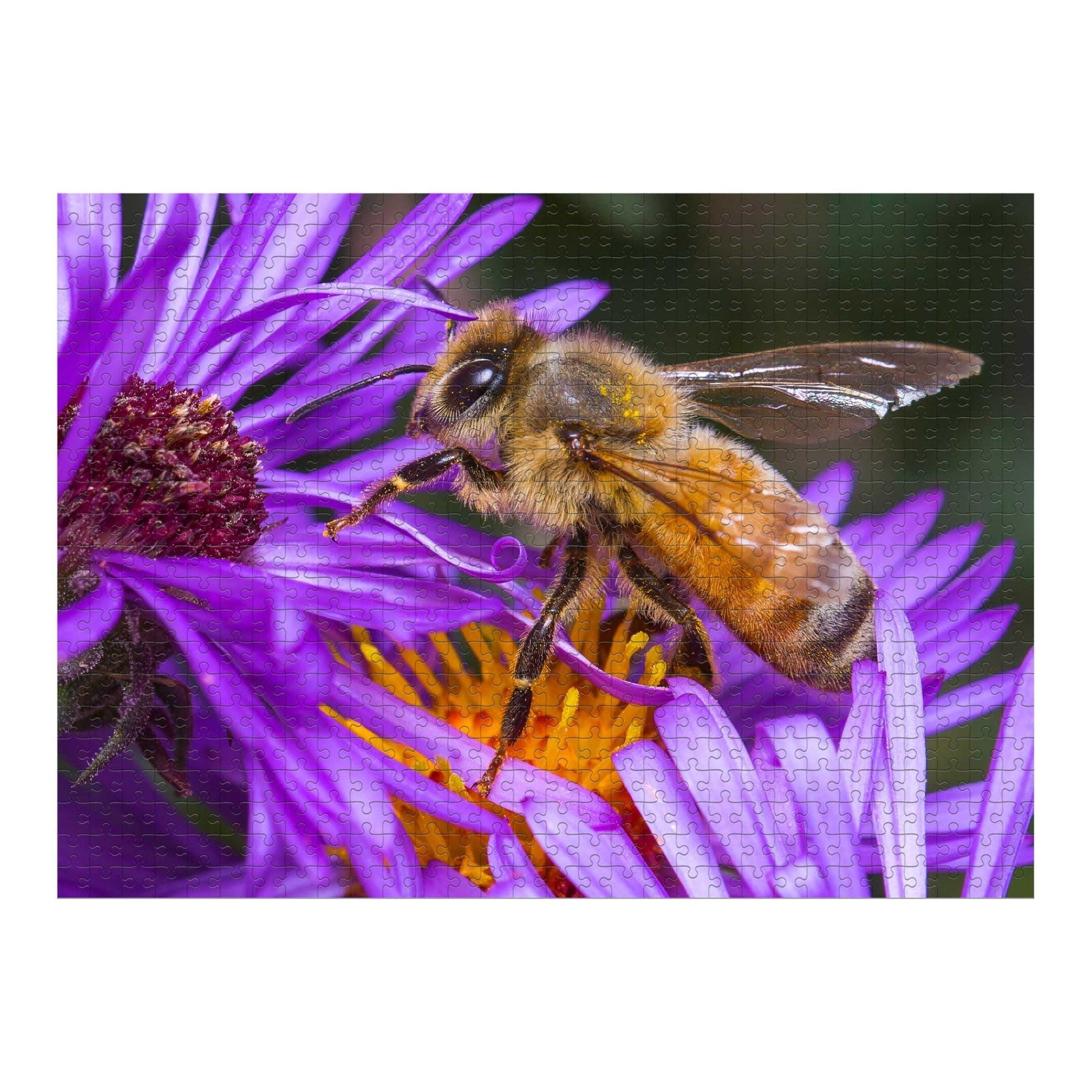 Bee On A Purple Flower Jigsaw Puzzle, Autism Toys For Kids, Adults, Whimsical Jigsaw Puzzle