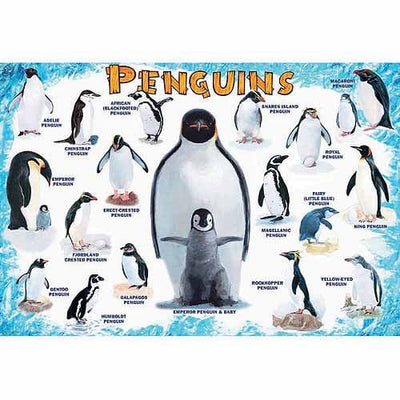 Funny Penguins Jigsaw Puzzle, Autism Toys For Kids, Adults