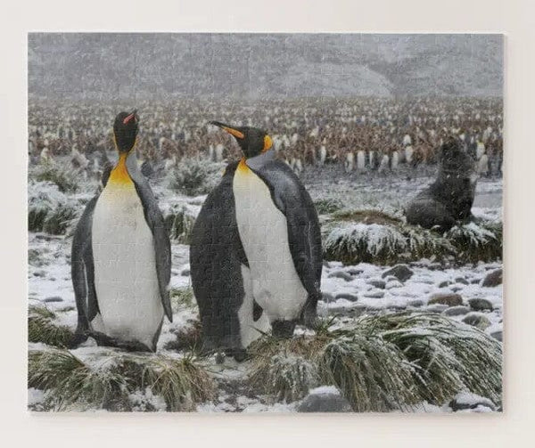 King Penguins Jigsaw Puzzle, Penguin Jigsaw Puzzles For Adults, Penguin ...