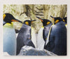 King Penguins Jigsaw Puzzle, Autism Toys For Kids, Adults