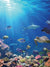 Under the Sea Coral Ocean Jigsaw Puzzle, Whimsical Jigsaw Puzzle, Autism Toys For Kids, Adults