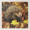 Hedgehog In Autumn Jigsaw Puzzle, Autism Toys For Kids, Adults