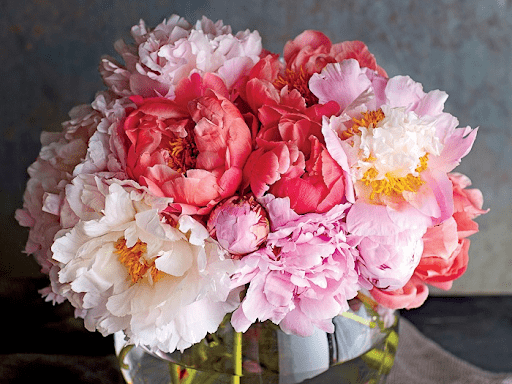 Peony Vase Jigsaw Puzzle, Autism Toys For Kids, Adults, Whimsical Jigsaw Puzzle