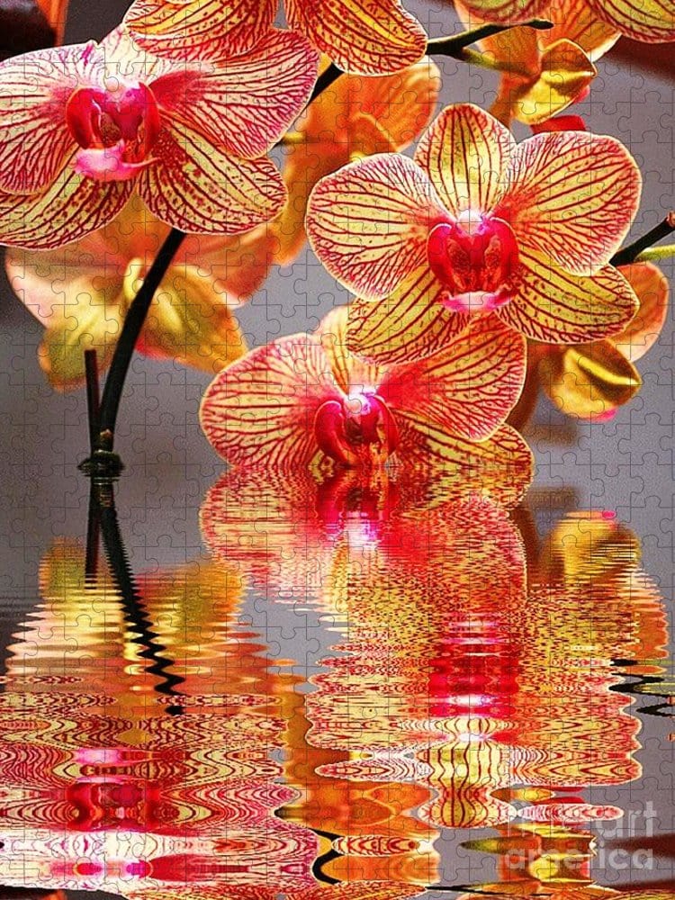 Sweet Orchid Jigsaw Puzzle, Autism Toys For Kids, Adults