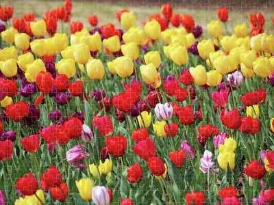 Tulip Flowers Jigsaw Puzzle, Autism Toys For Kids, Adults, Whimsical Jigsaw Puzzle
