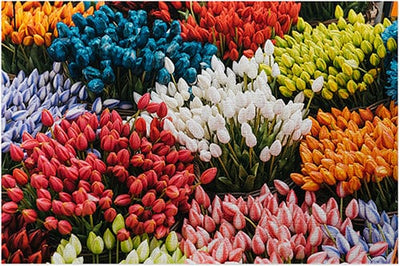 Tulip Flowers Jigsaw Puzzle, Whimsical Jigsaw Puzzle, Autism Toys For Kids, Adults