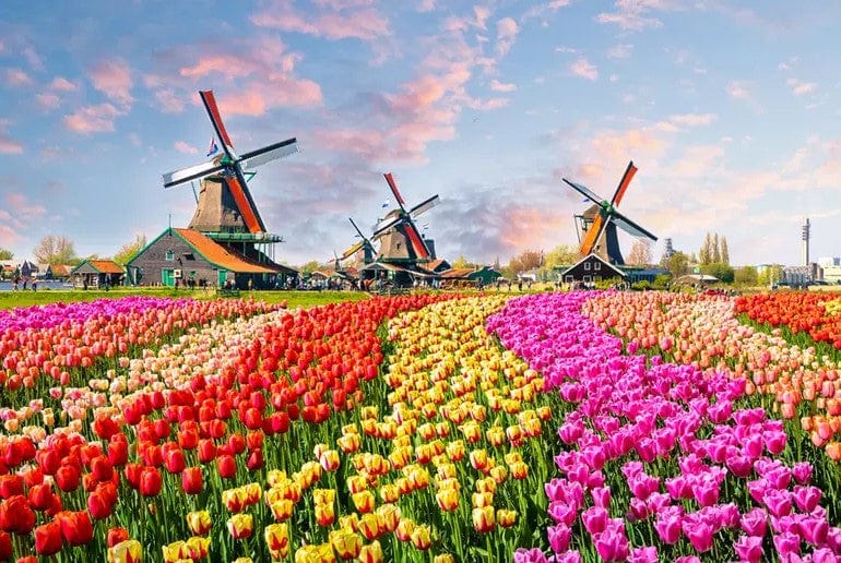 Field Of Tulip & Windmill Jigsaw Puzzle, Autism Toys For Kids, Adults, Whimsical Jigsaw Puzzle