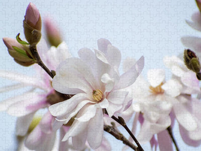 Star Magnolia Jigsaw Puzzle, Autism Toys For Kids, Adults, Whimsical Jigsaw Puzzle