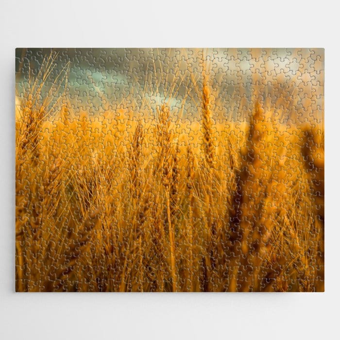 Golden Wheat Field On Late Spring Day Jigsaw Puzzle, Autism Toys For Kids, Adults