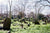 Highgate Cemetery Jigsaw Puzzle, Autism Toys For Kids, Adults, Whimsical Jigsaw Puzzle