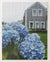 Cape Cod Hydrangea Home Jigsaw Puzzle, Autism Toys For Kids, Adults