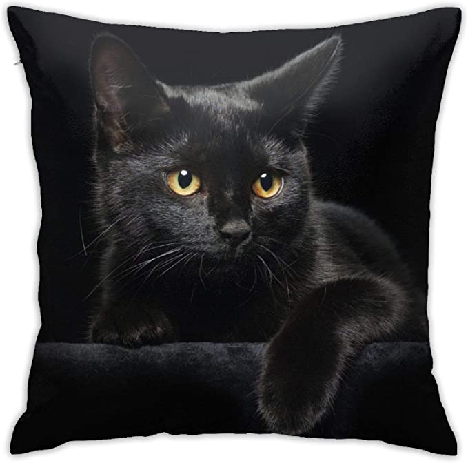 Cute Black Cat With Yellow Eyes Pillow