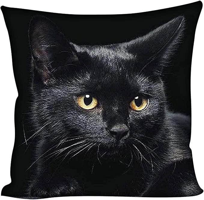 Personalized Photo Black Cat With Yellow Eyes Pillow