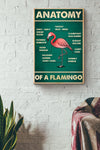 Anatomy Of A Flamingo Poster, Canvas
