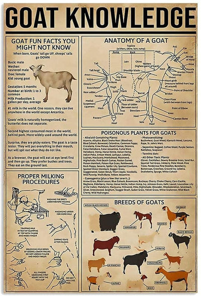 Goat Knowledge Poster, Canvas
