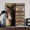 A Horse Is Not Just A Horse He Is Sanity Horse Lover Poster, Canvas