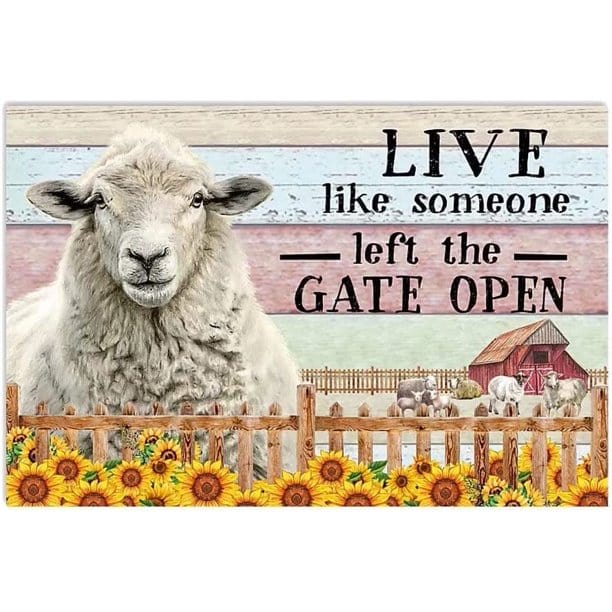 Live Like Someone Left The Gate Open Funny Sheep Farm Poster, Canvas