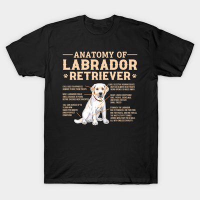 Funny Anatomy Of Labrador Retriever Shirt