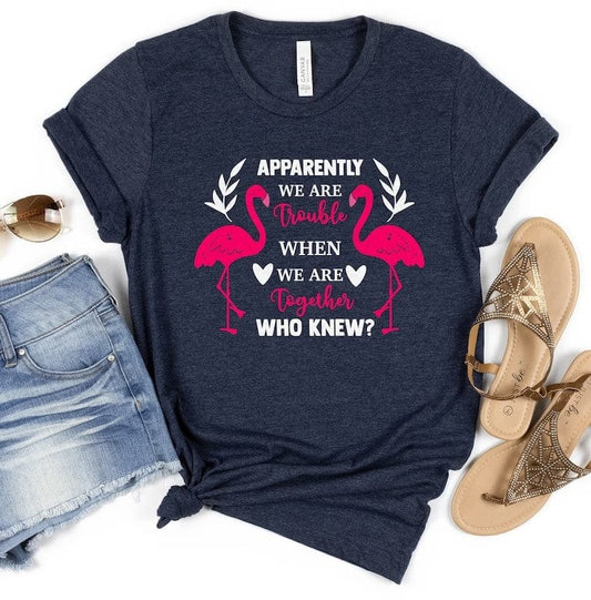 Al parecer somos problemas cuando estamos juntos ¿Quién lo hubiera dicho? Camiseta Flamingo