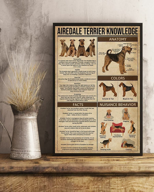 Conocimientos sobre el Airedale Terrier