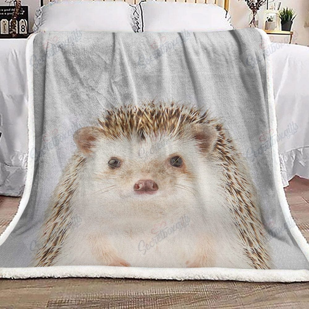 Cute Winter Hedgehog Blanket