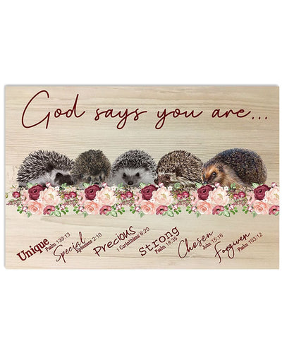 God Says You Are Hedgehog Poster, Canvas