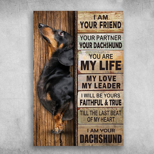 Soy tu amigo, tu compañero, tu perro salchicha Póster, Lienzo