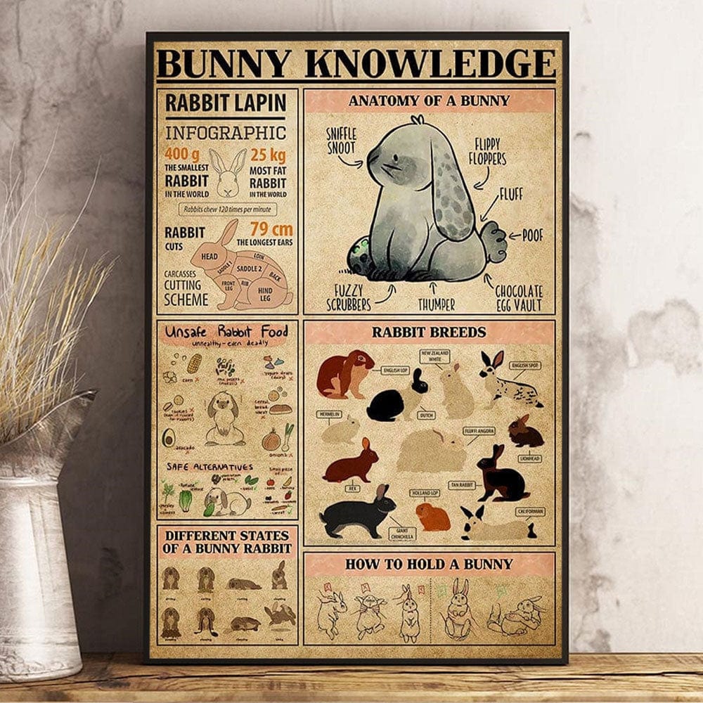 Bunny Knowledge Poster, Canvas