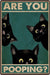 Are You Pooping Cat Poster, Canvas