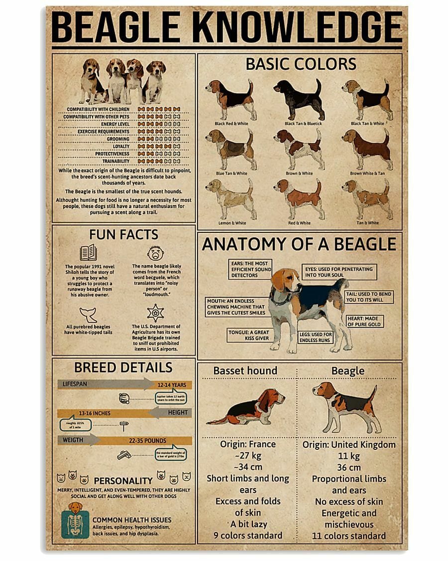 Póster de perro Beagle Knowledge, lienzo