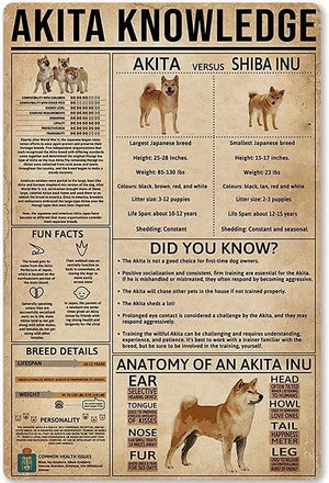 Akita Knowledge Dog Poster, Canvas