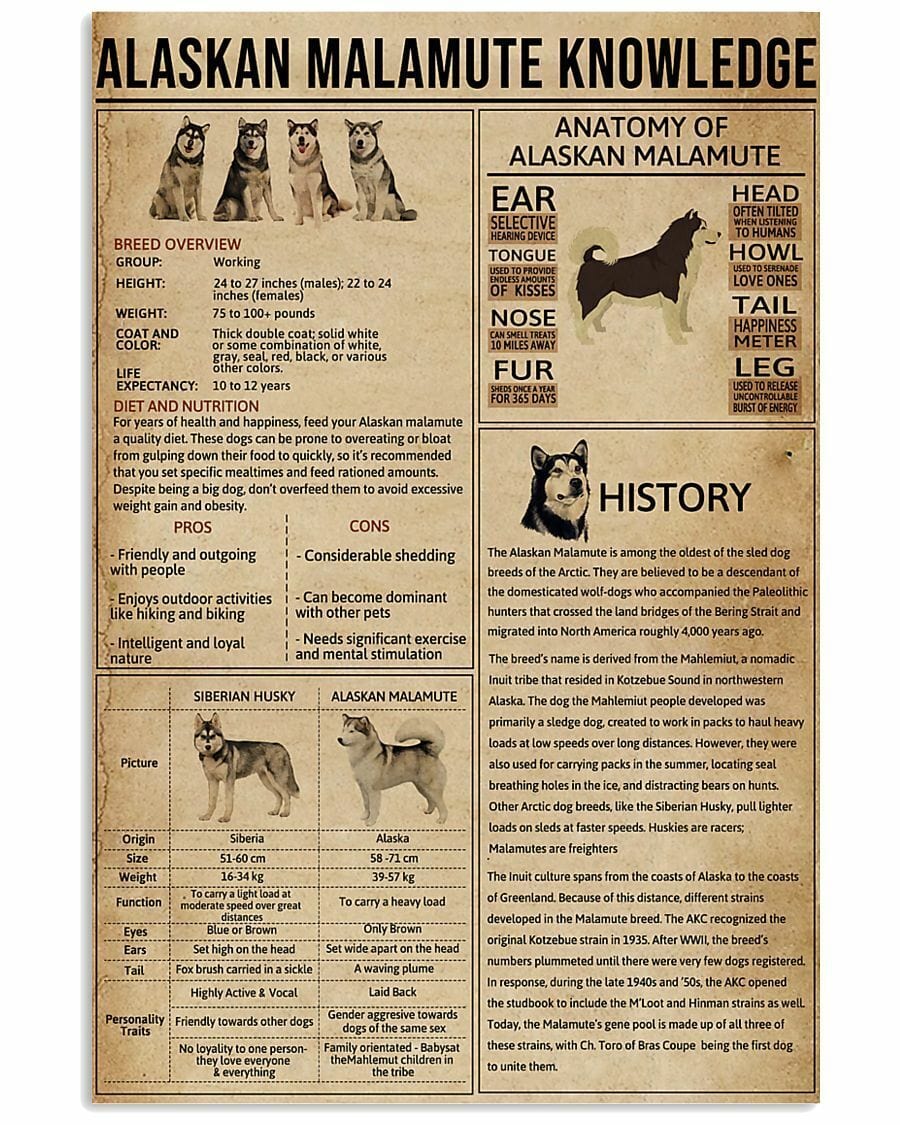 Póster del perro del conocimiento del Malamute de Alaska, lienzo