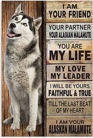 I Am Your Friend I Am Your Alaskan Malamute Dog Poster, Canvas