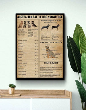 Póster de conocimiento sobre perros pastores australianos, lienzo