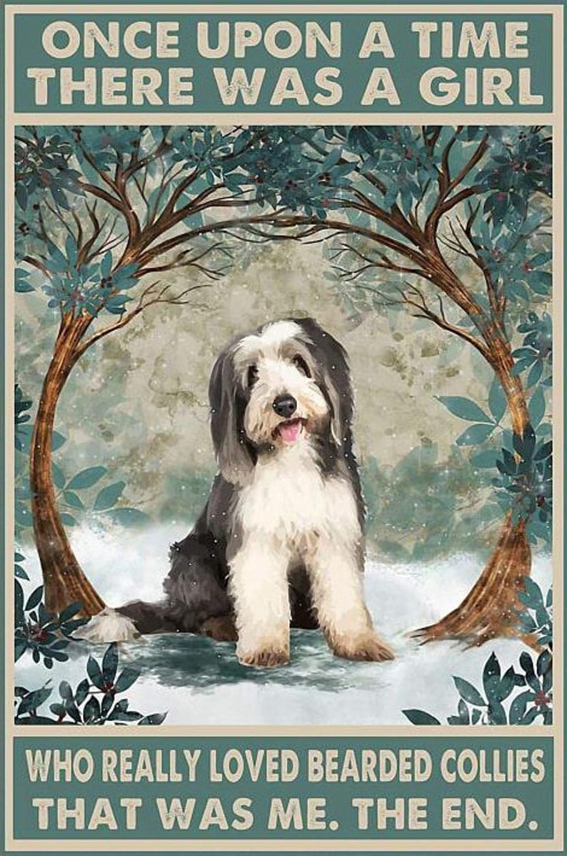 Érase una vez una chica que amaba mucho a Bearded Collie. Era yo. Póster, lienzo