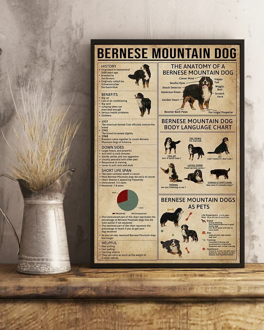 Bernese Mountain Dog Knowledge Poster, Canvas