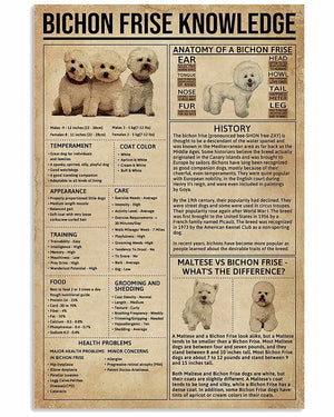 Bichon Frise Knowledge Poster, Canvas