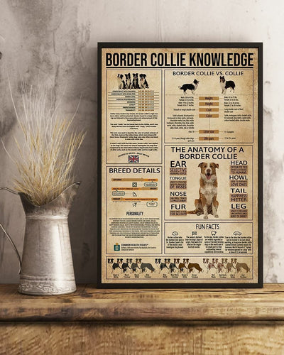 Border Collie Knowledge Border Collie Vs Collie Dog Poster, Canvas