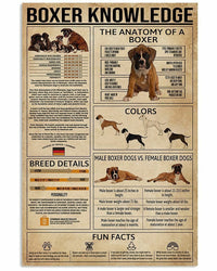 Boxer Knowledge Dog Lover Poster, Canvas