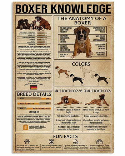 Boxer Knowledge Dog Lover Poster, Canvas