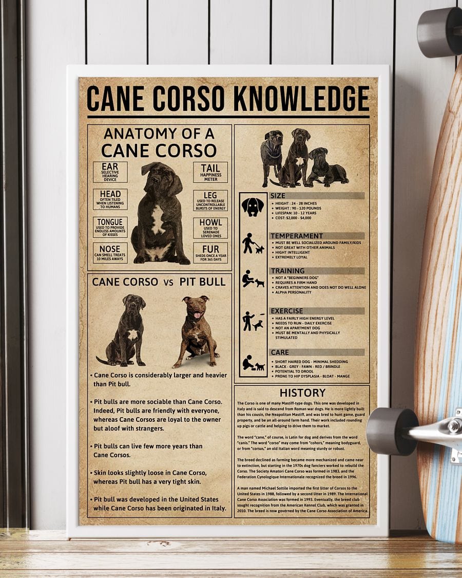 Cane Corso Knowledge Poster, Canvas