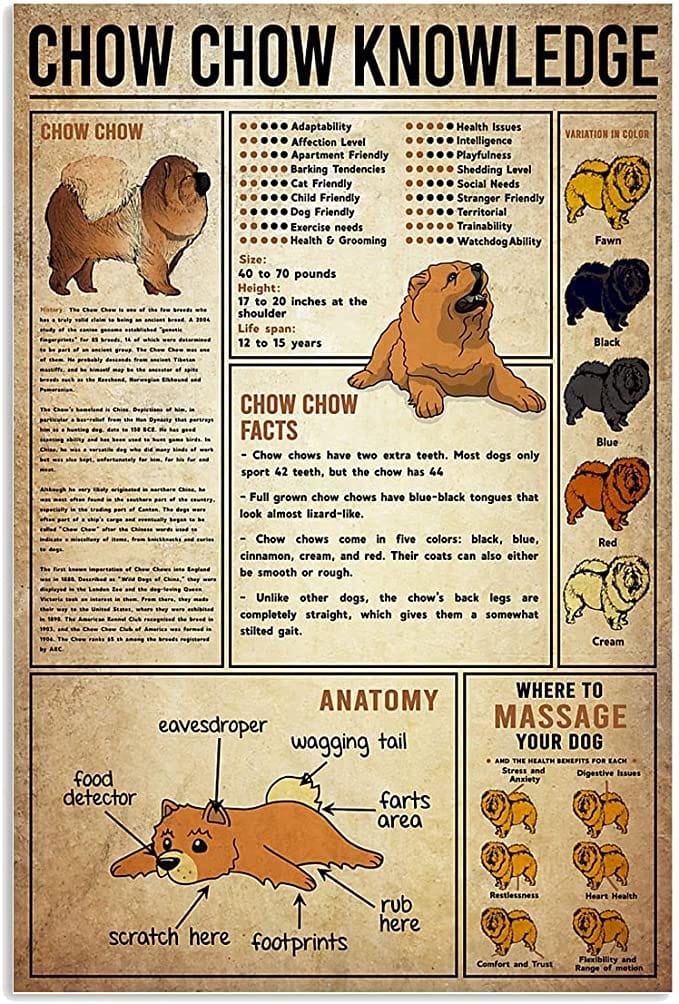 Chow Chow Knowledge Poster, Canvas