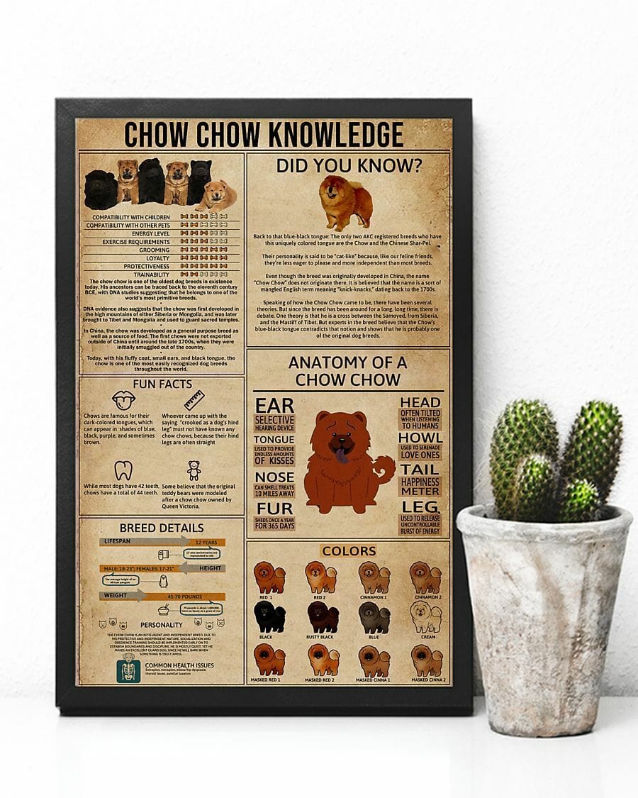 Chow Chow Knowledge Poster, Canvas