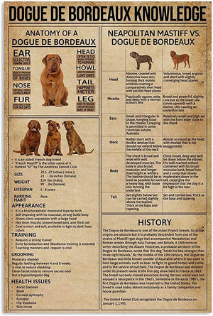 Dogue De Bordeaux Knowledge Poster, Canvas