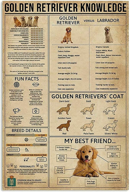 Póster de conocimientos sobre el golden retriever, lienzo